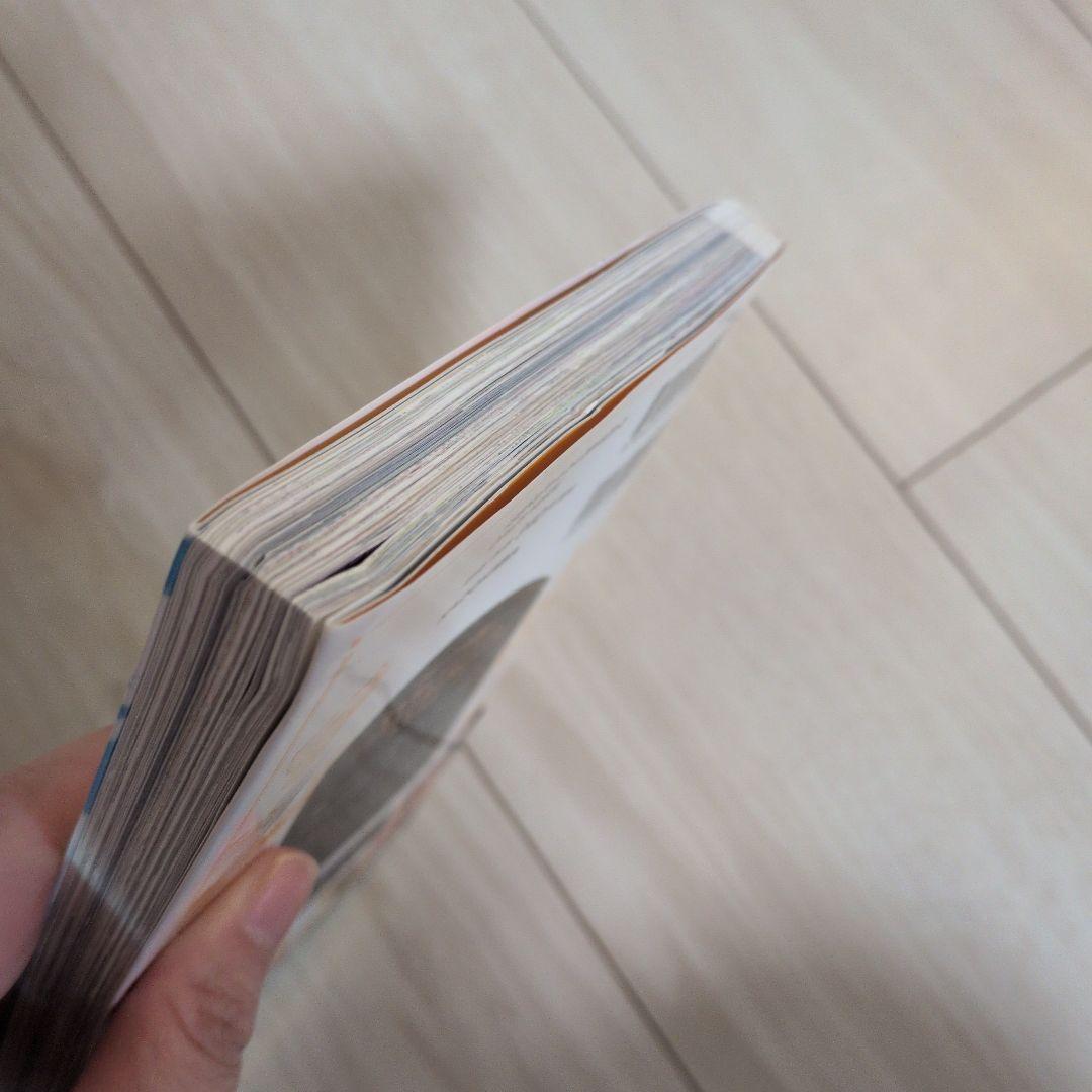 ある日、お姫様になってしまった件について 13