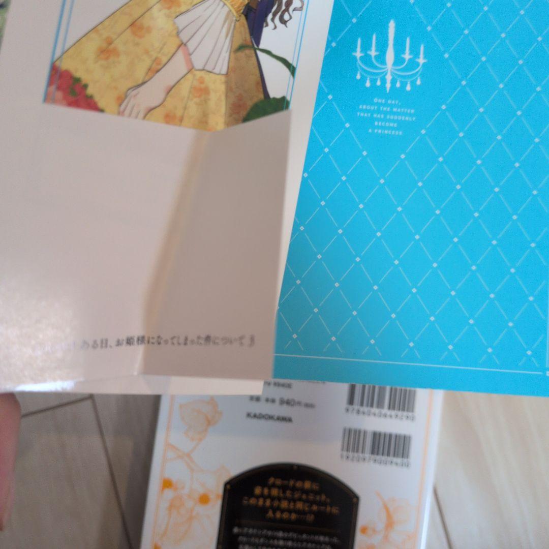 ある日、お姫様になってしまった件について 13