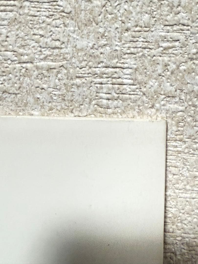 Bjork ビョーク　I Miss You レコード アナログ