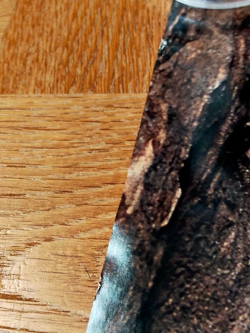 ☆着払限定☆断捨離☆激レア☆ジャネット・ジャクソン☆JAPANツアーポスター