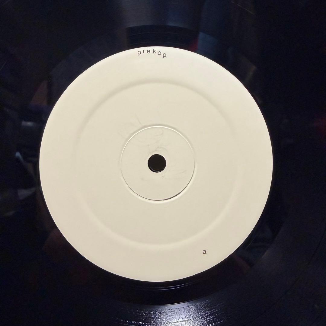 Sam Prekop サムプレコップ オリジナルLP