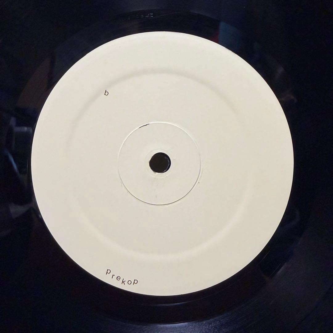 Sam Prekop サムプレコップ オリジナルLP