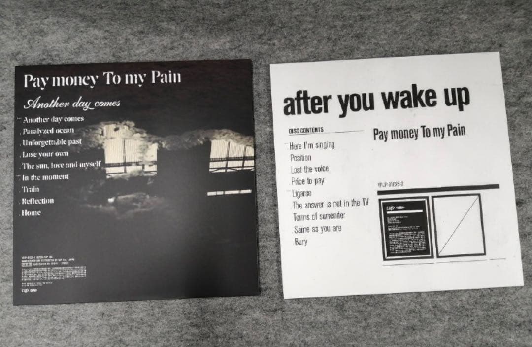 邦楽 Pay money To my Pain VINYL COMPLETE BOX