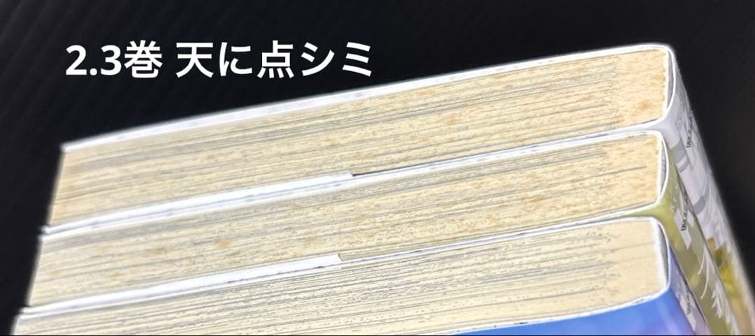 不滅のあなたへ 1-21巻