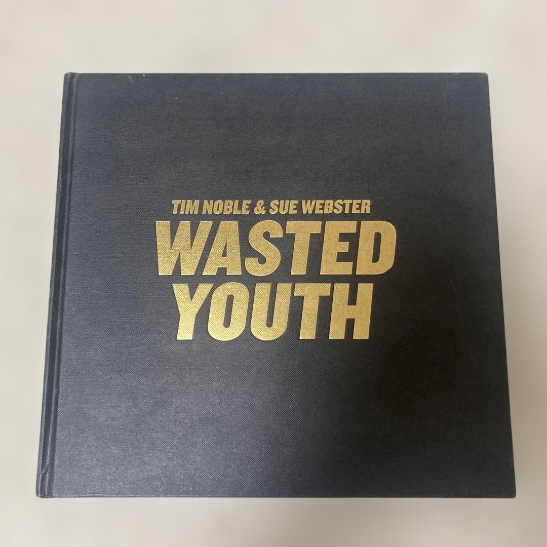 美術　アート画集　ハードカバー　Tim noble & Sue webster