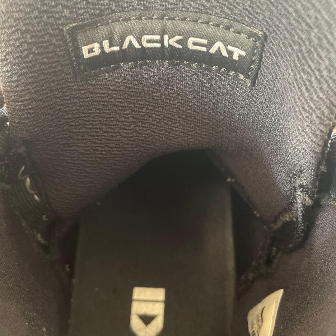 【希少美品】JORDAN 34 ブラックキャット 28.5