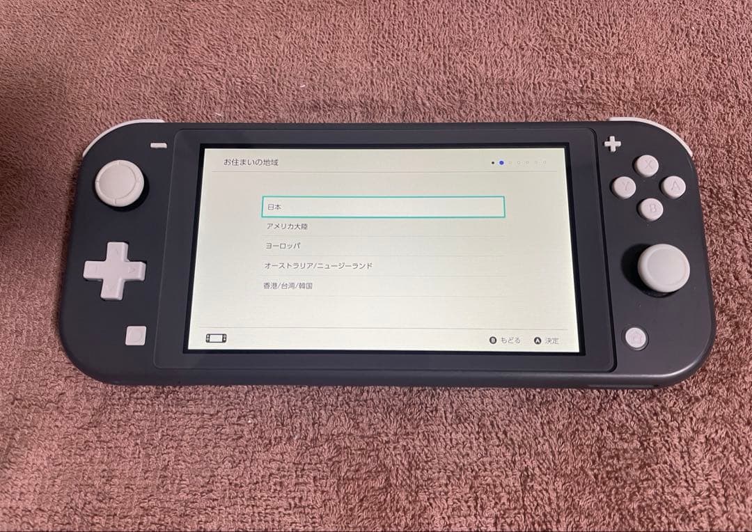Nintendo Switch Lite グレー 本体 ケース&カバー付き