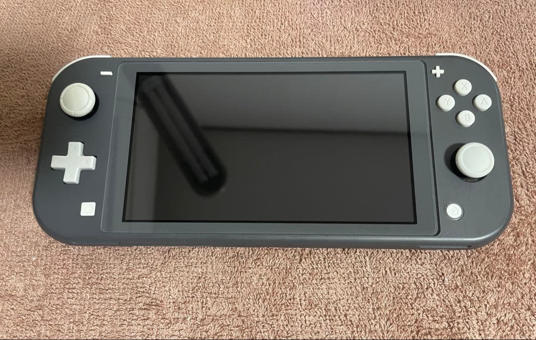 Nintendo Switch Lite グレー 本体 ケース&カバー付き