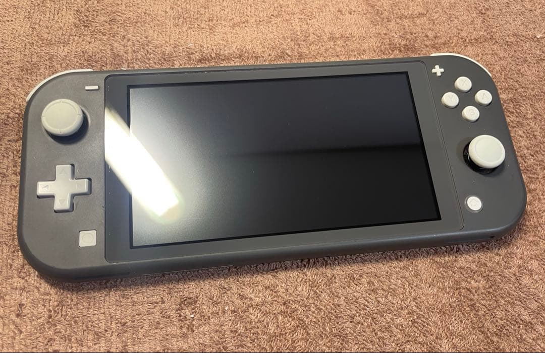 Nintendo Switch Lite グレー 本体 ケース&カバー付き