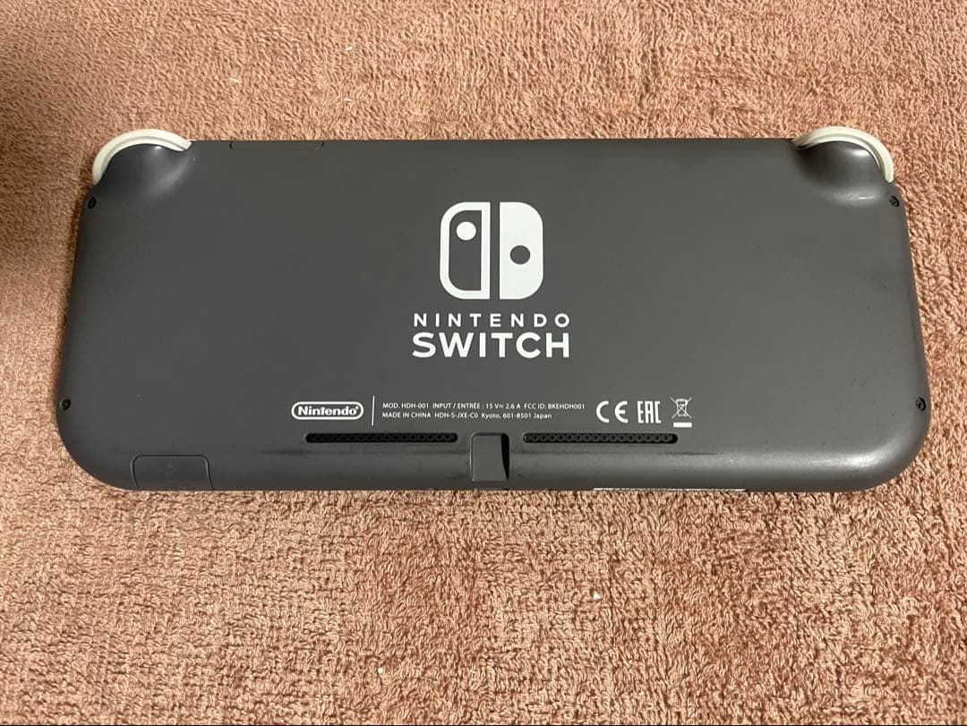 Nintendo Switch Lite グレー 本体 ケース&カバー付き