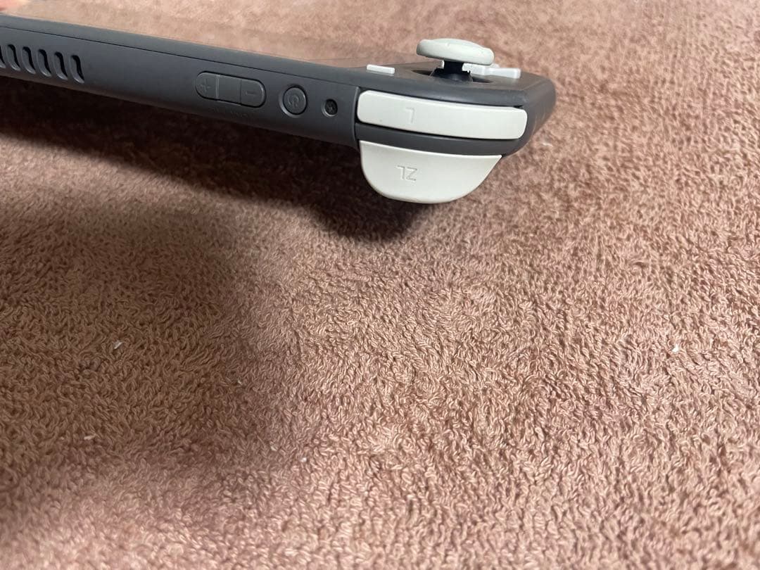 Nintendo Switch Lite グレー 本体 ケース&カバー付き