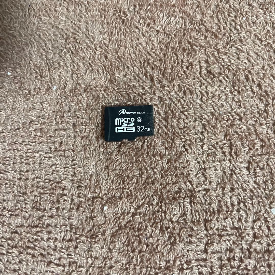 Nintendo Switch Lite グレー 本体 ケース&カバー付き