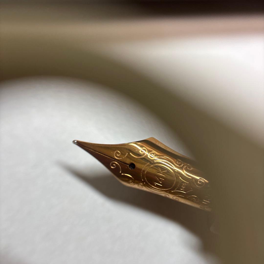 実質未使用 アウロラ 万年筆88 クラシック　F