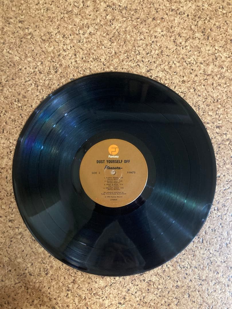 Pleasure Dust Yourself Off レコード レアグルーヴ