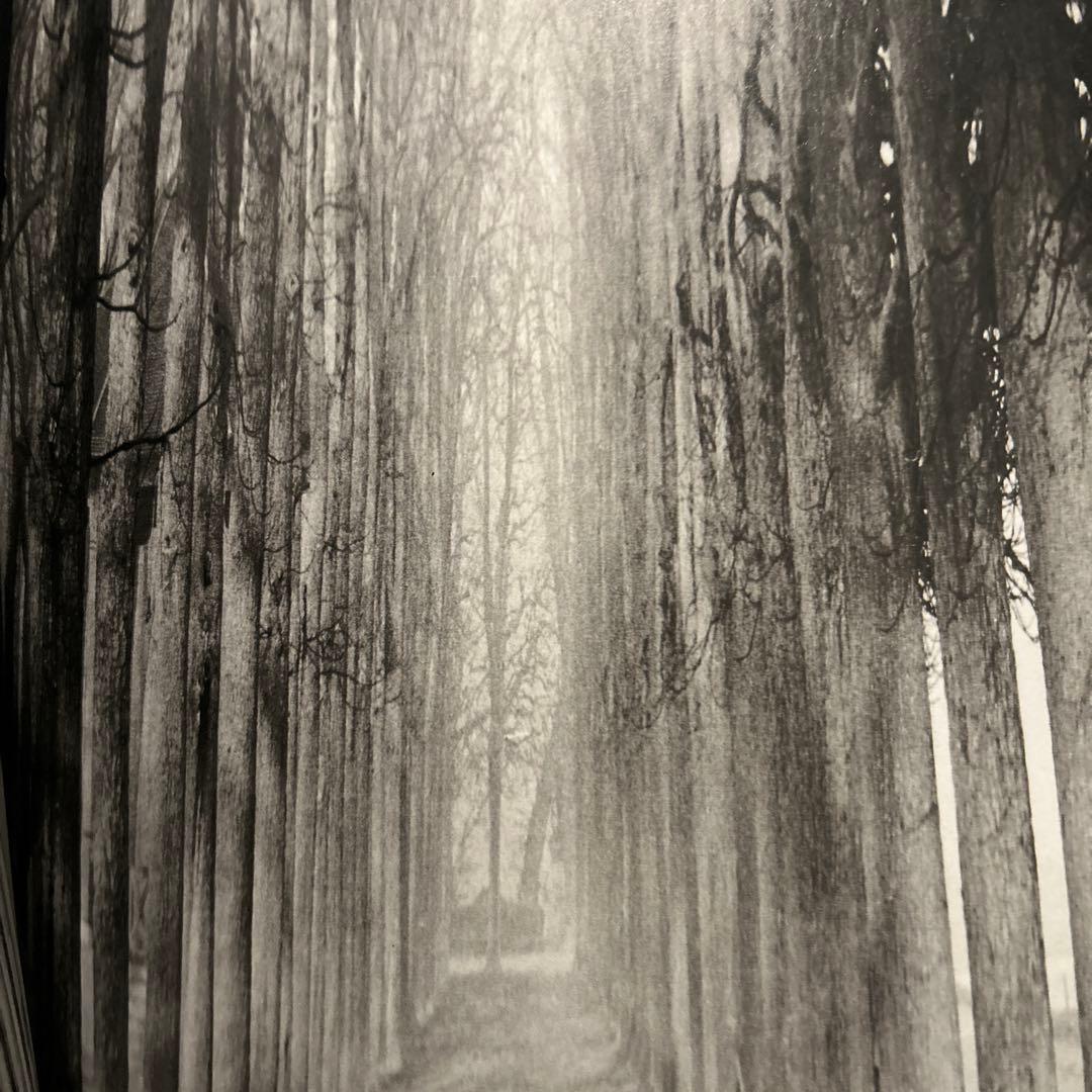 アート・デザイン・音楽 Blumenfeld: A Fetish for Beauty