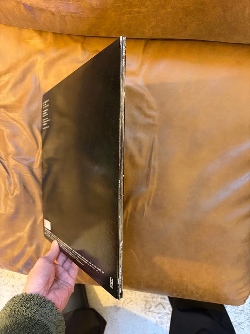 【希少LP】ROSSO / BIRD アナログ盤 2枚組 レコード（チバユウスケ