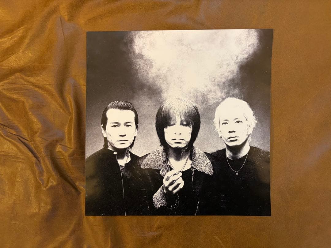 【希少LP】ROSSO / BIRD アナログ盤 2枚組 レコード（チバユウスケ