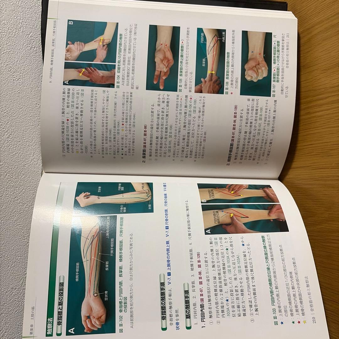 骨格筋の形と触察法 改訂第2版