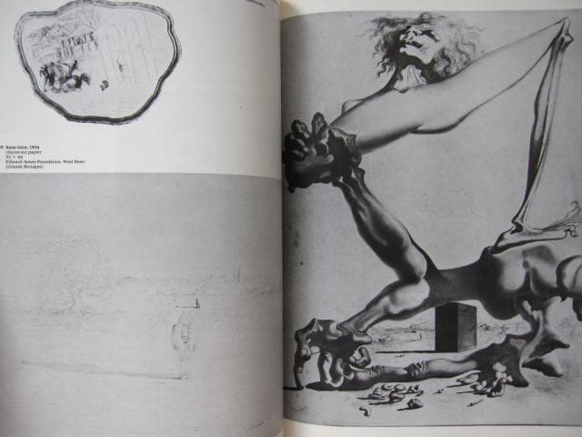 アート・デザイン・音楽 La vie publique de Salvador Dali