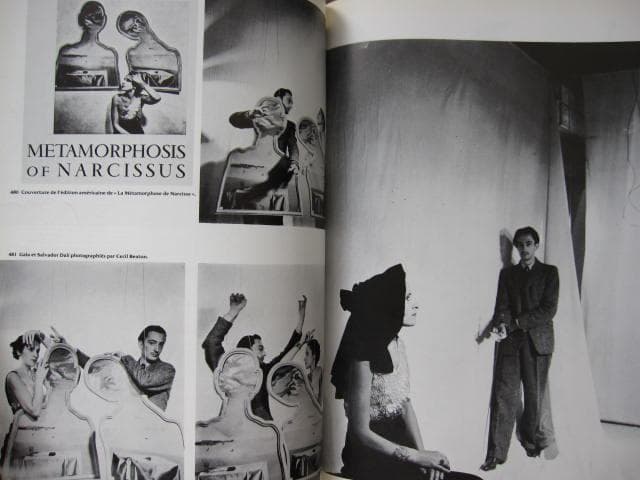 アート・デザイン・音楽 La vie publique de Salvador Dali