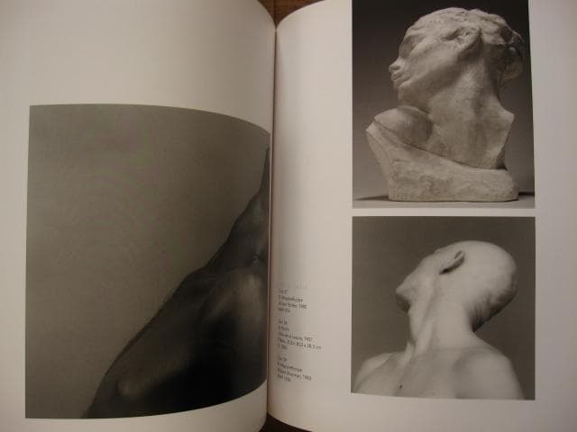 MAPPLETHORPE RODIN　メイプルソープ　ロダン
