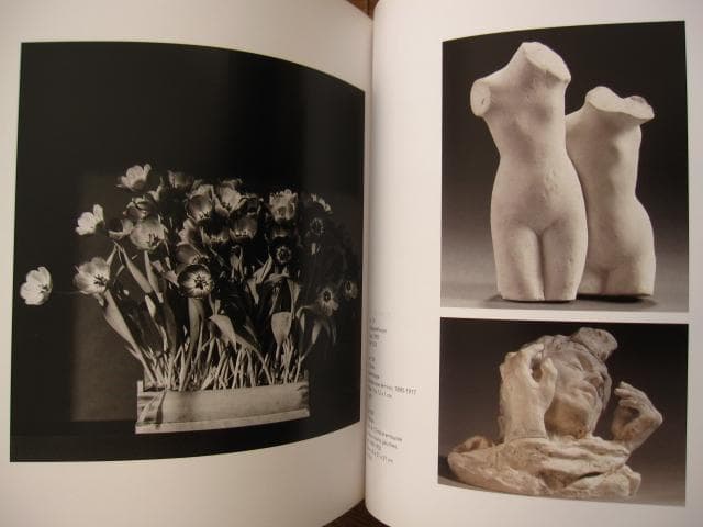 MAPPLETHORPE RODIN　メイプルソープ　ロダン