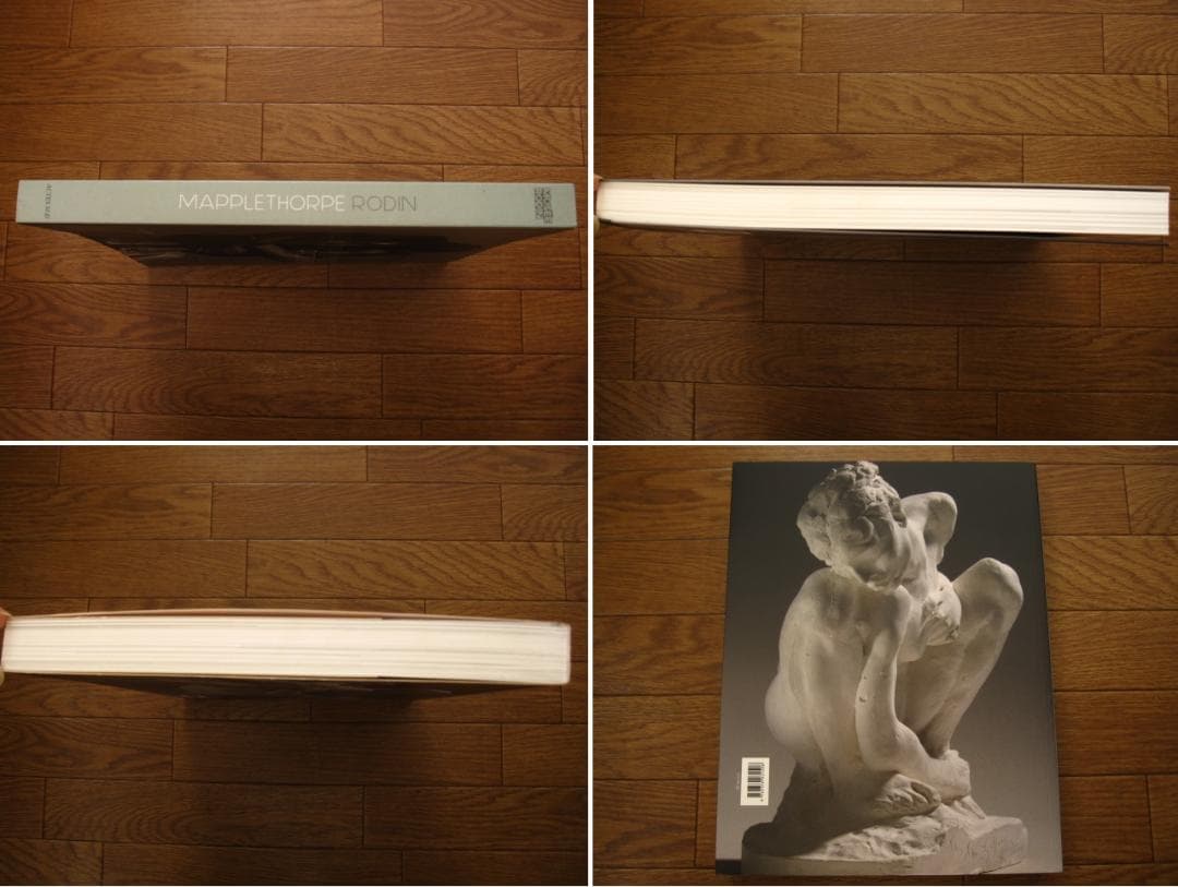 MAPPLETHORPE RODIN　メイプルソープ　ロダン