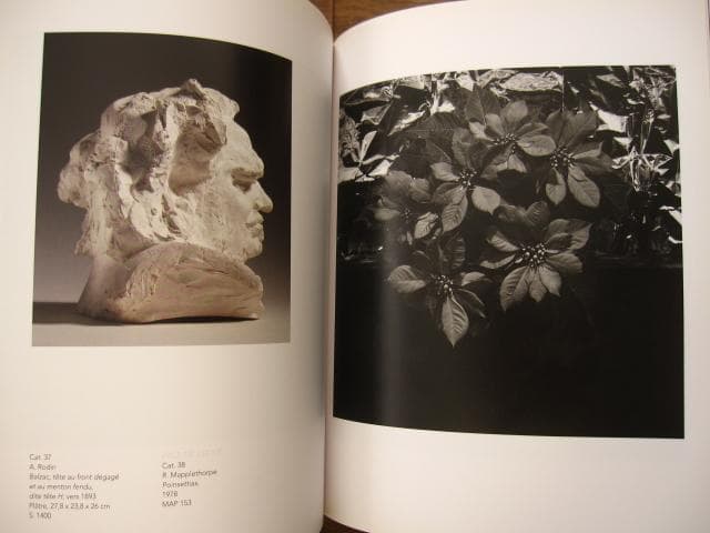 MAPPLETHORPE RODIN　メイプルソープ　ロダン