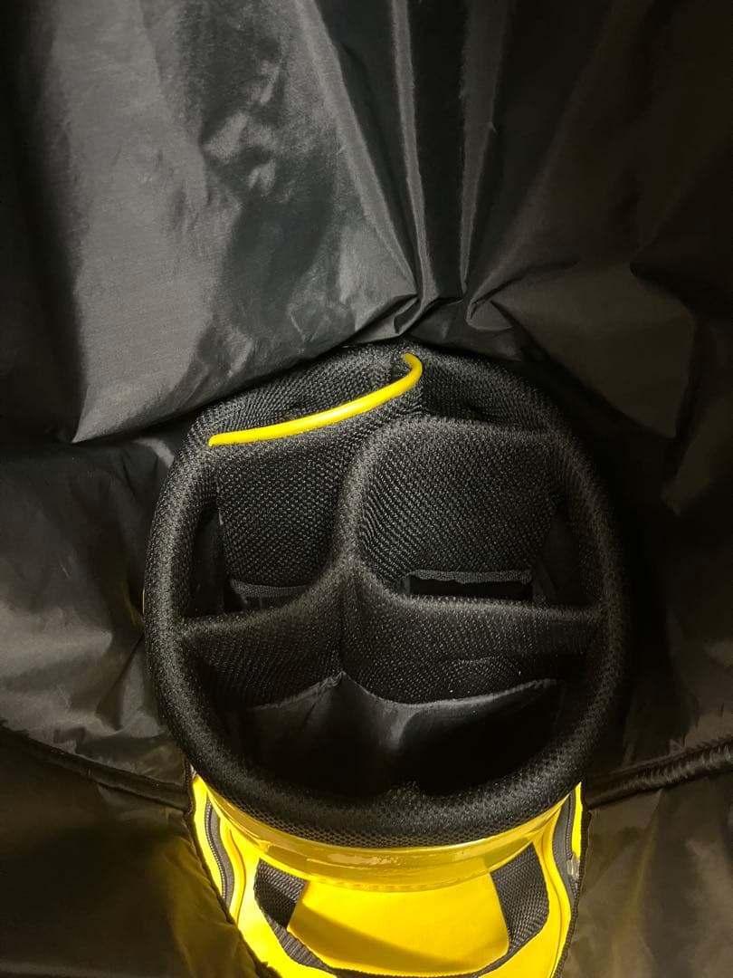 ❗️限定❗️Mizuno キャディバッグ