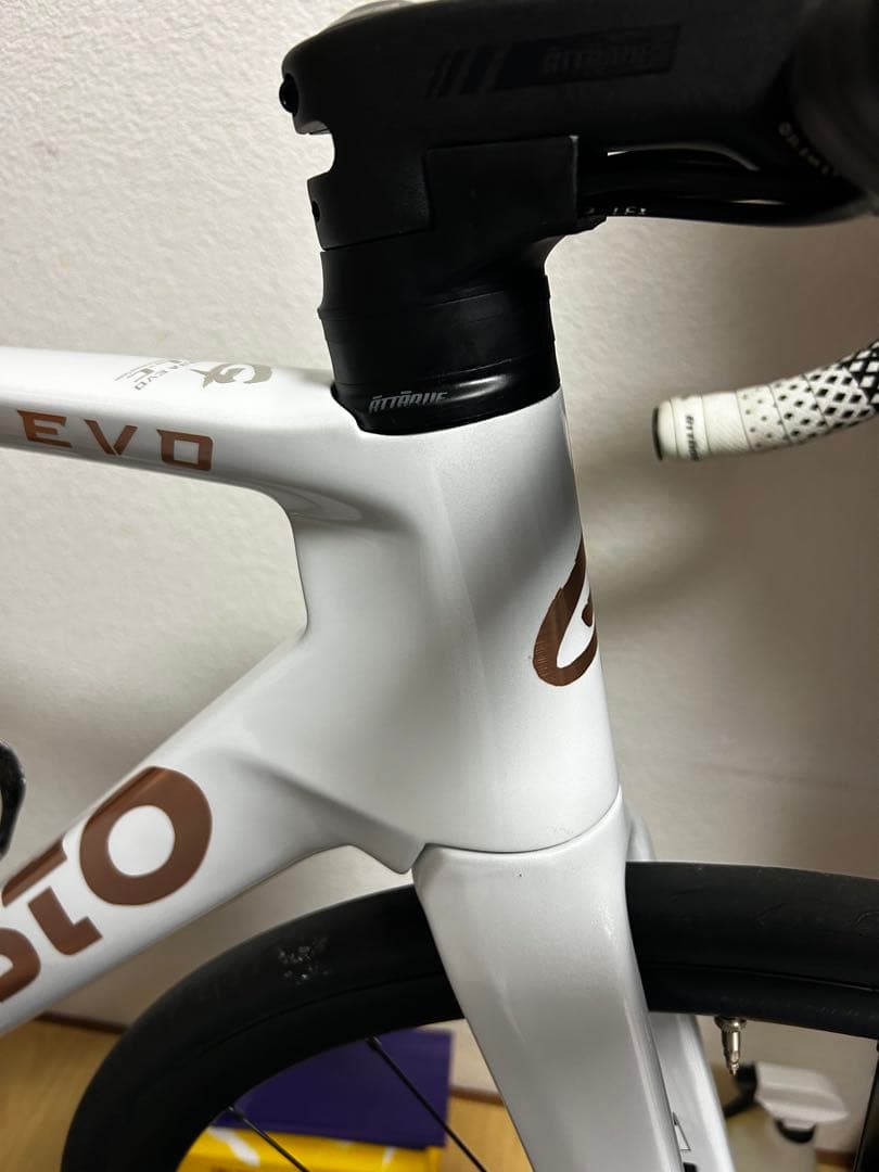gusto COBRA EVO DB ELITE フレーム新品