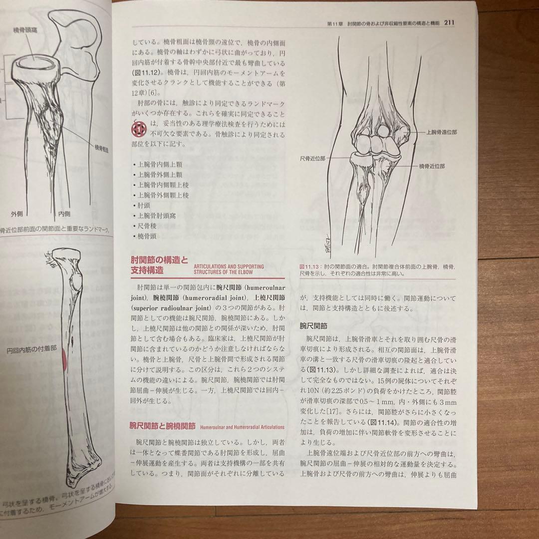 オーチスのキネシオロジー身体運動の力学と病態力学