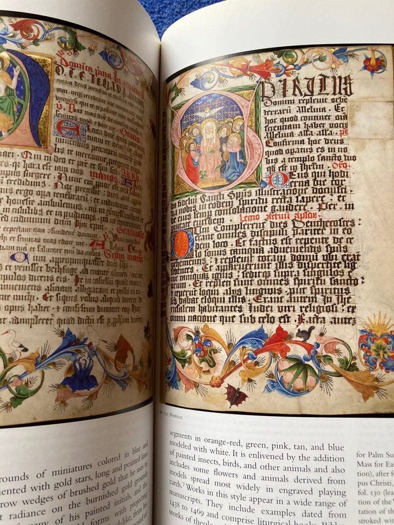 洋書 The Splendor of the Word