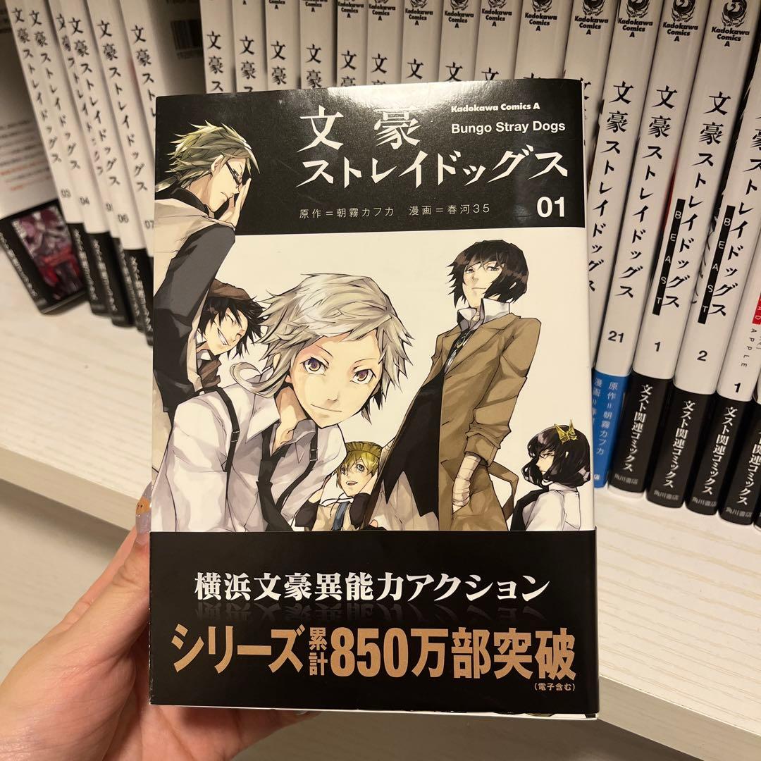 文豪ストレイドッグス (1) 01~21プラス9巻