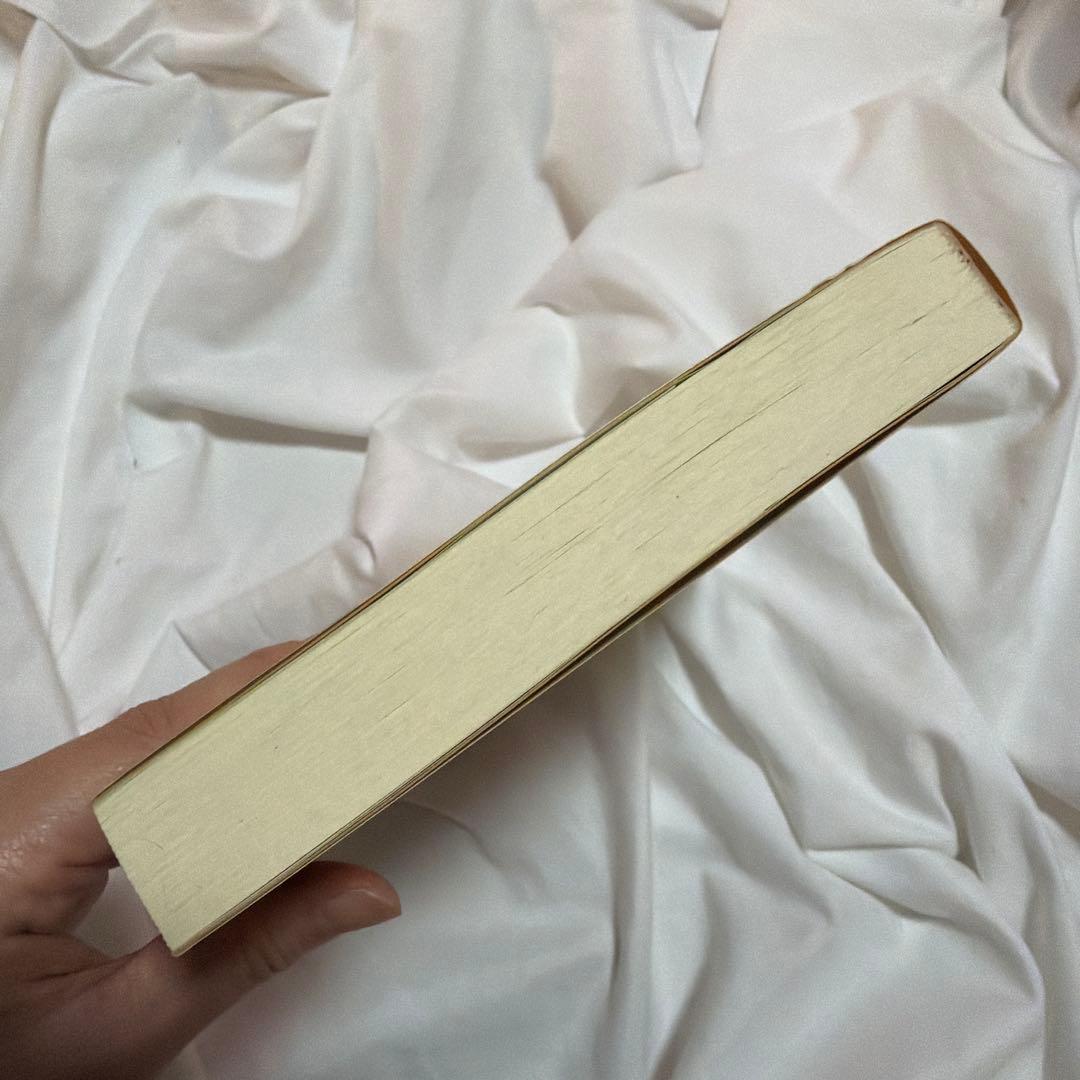 現代的な視点からの場の量子論 発展編