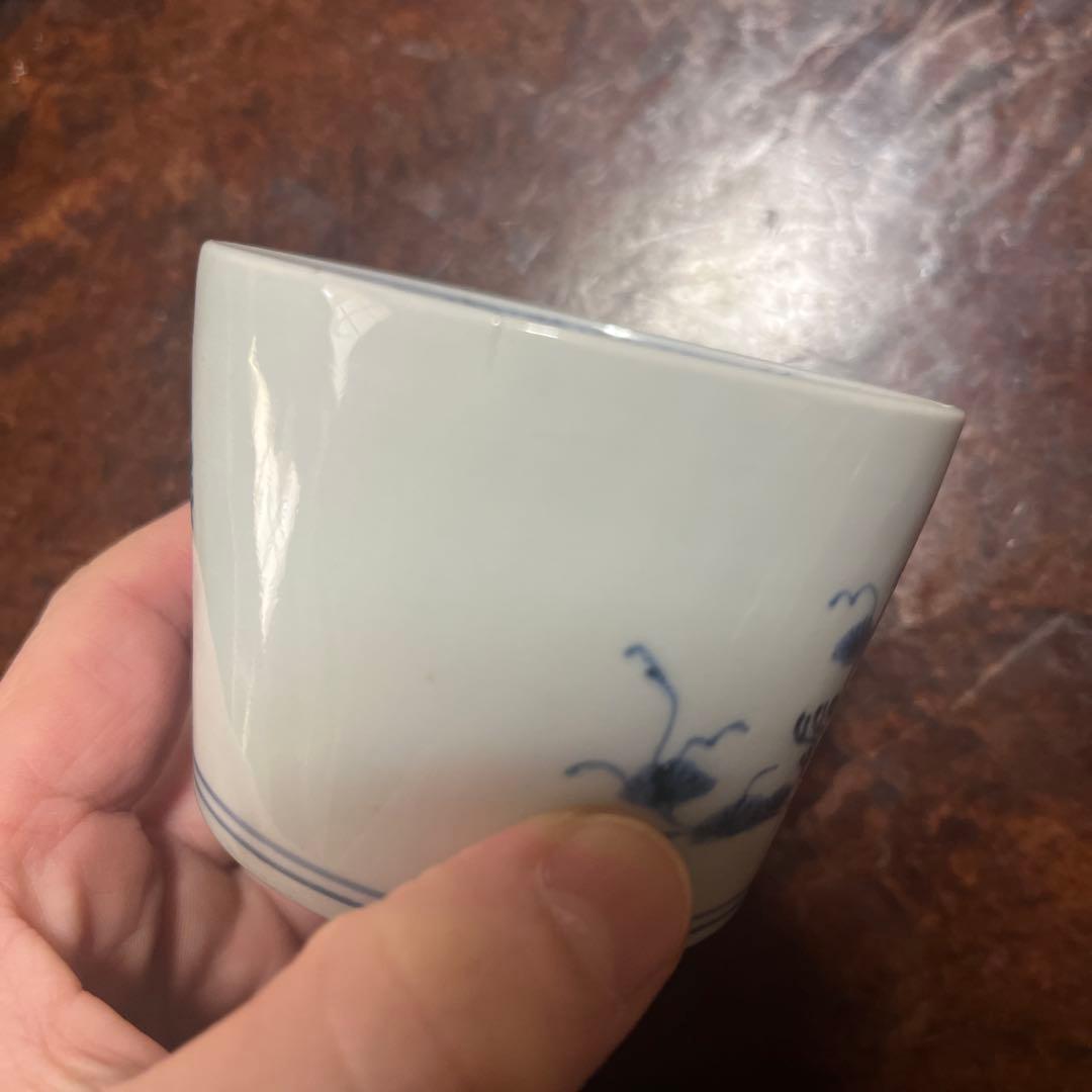 古伊万里　窯傷完品　海底　貝　海藻　そば猪口　蕎麦猪口　そばちょこ　コレクション