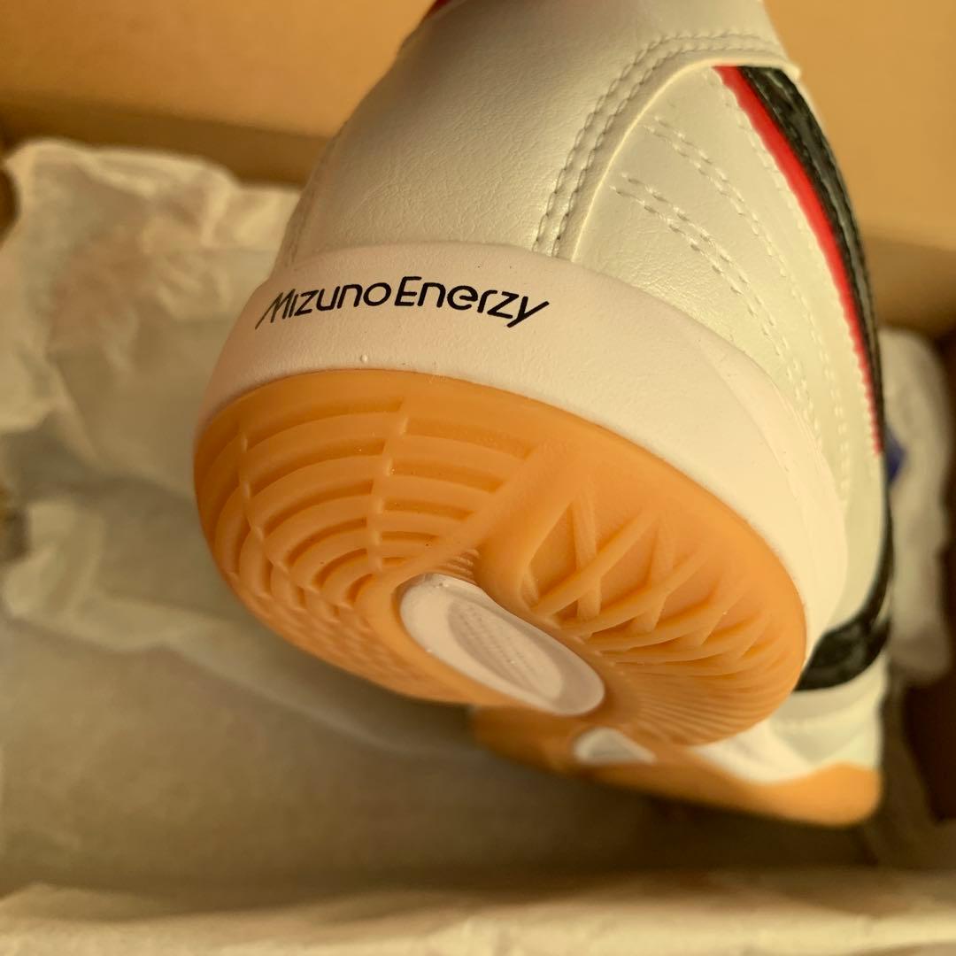 【新品】ミズノ　モレリア サラ　IN フットサル　室内シューズ