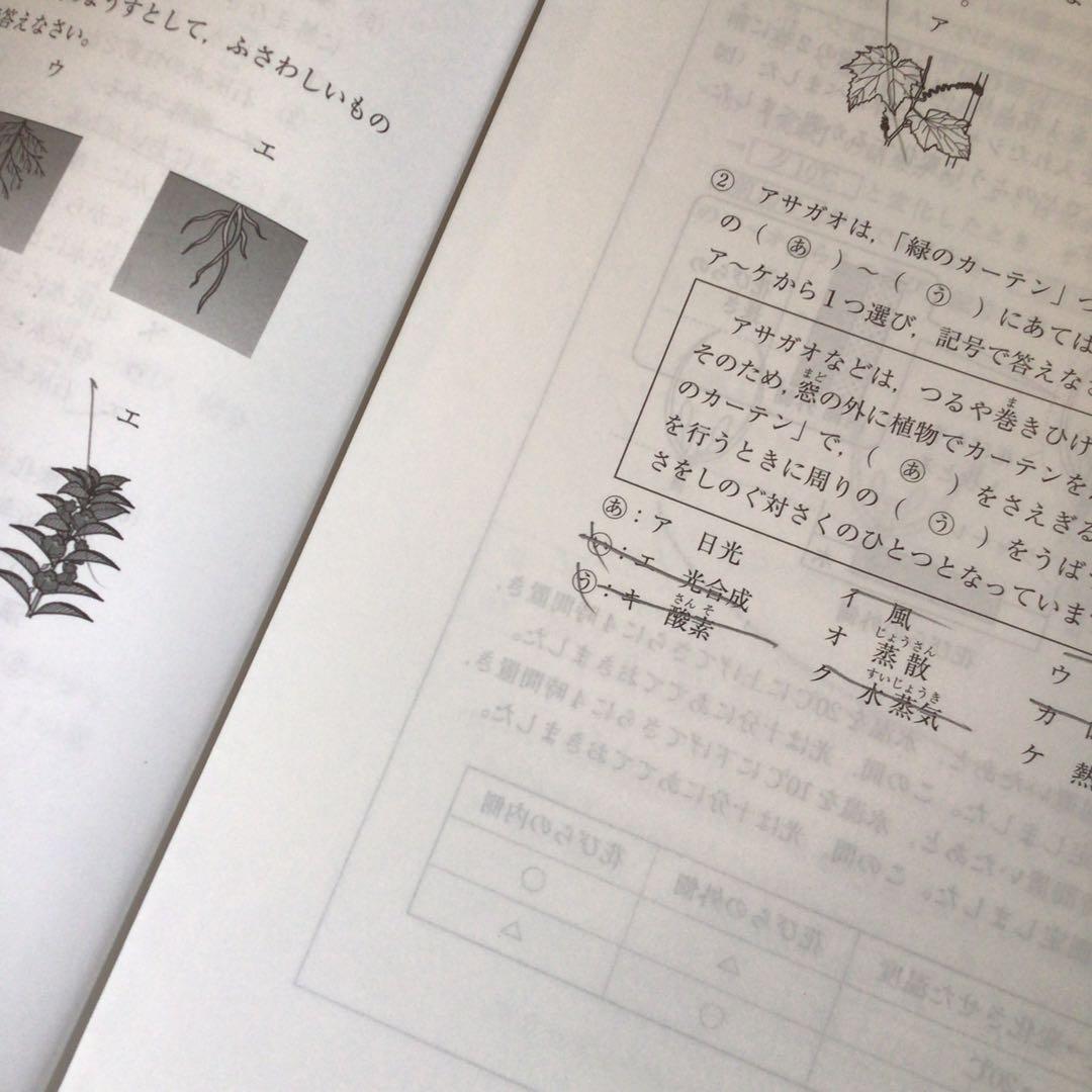 サピックス　5年　7月度　入室・組分けテスト　原本　2019年7月　組み分け