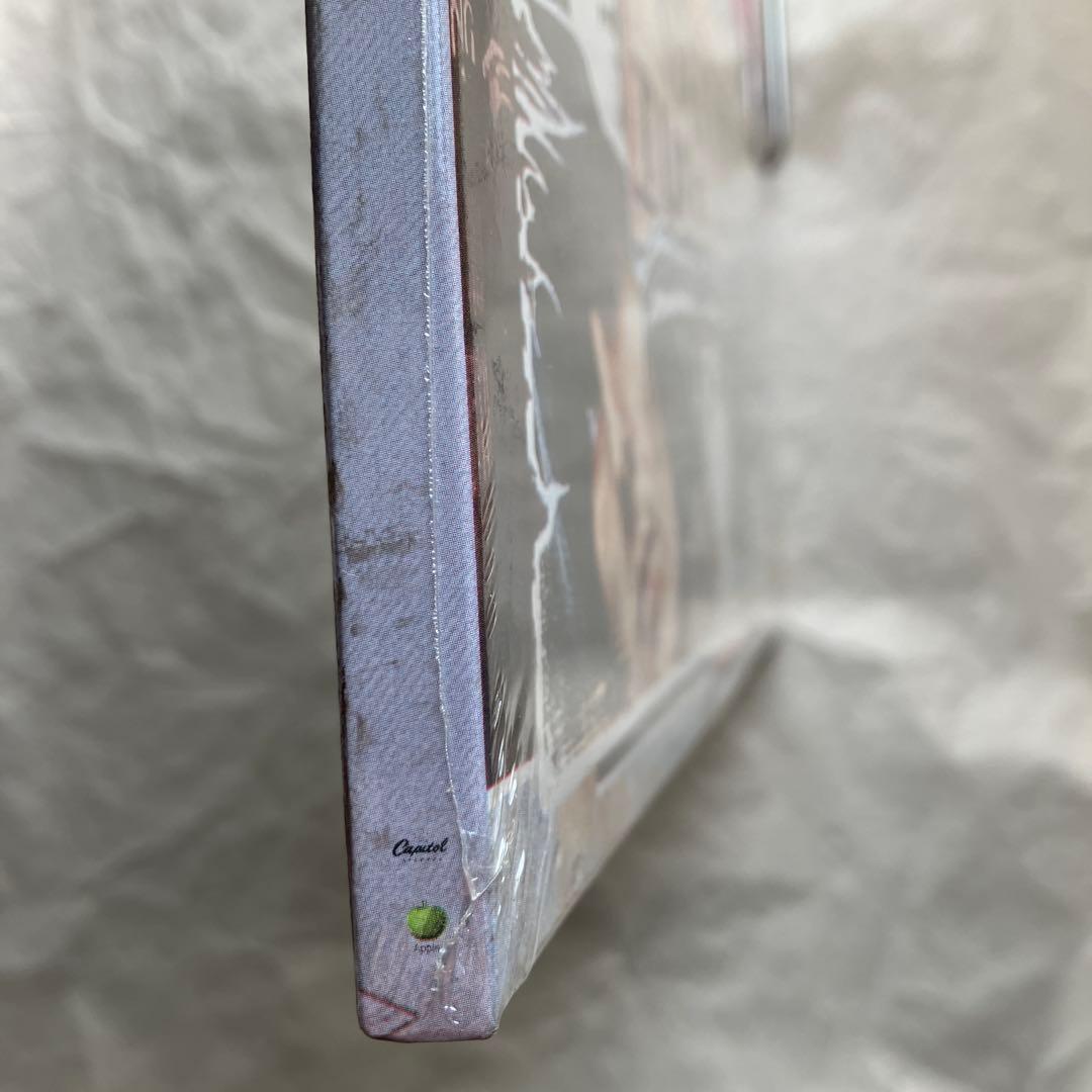 [US盤] 12インチ/The Beatles Anthology 2