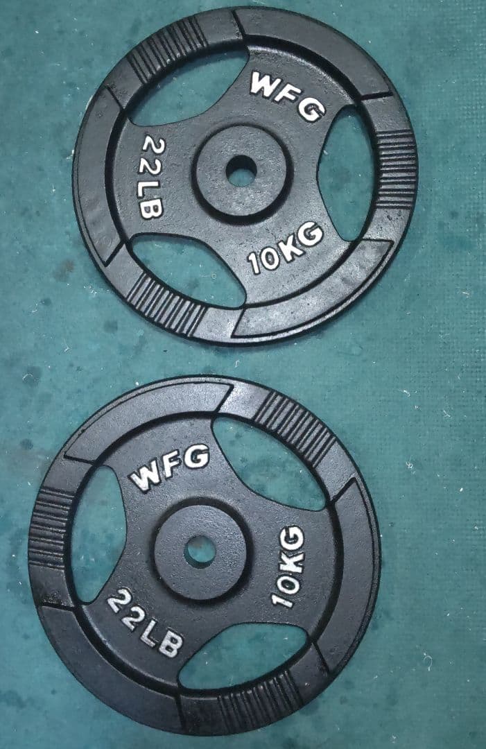 美品 ワイルドフィット 10kgプレート2枚 28mm 用
