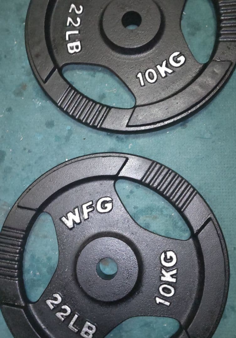 美品 ワイルドフィット 10kgプレート2枚 28mm 用