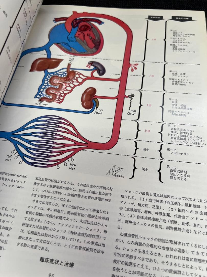 医学図譜集 心臓編【Frank H. Netter】解剖学専門書 医学イラスト本
