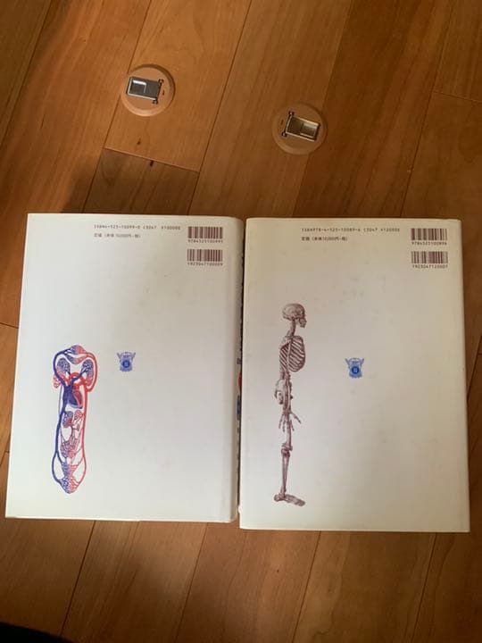 日本人体解剖学 セット