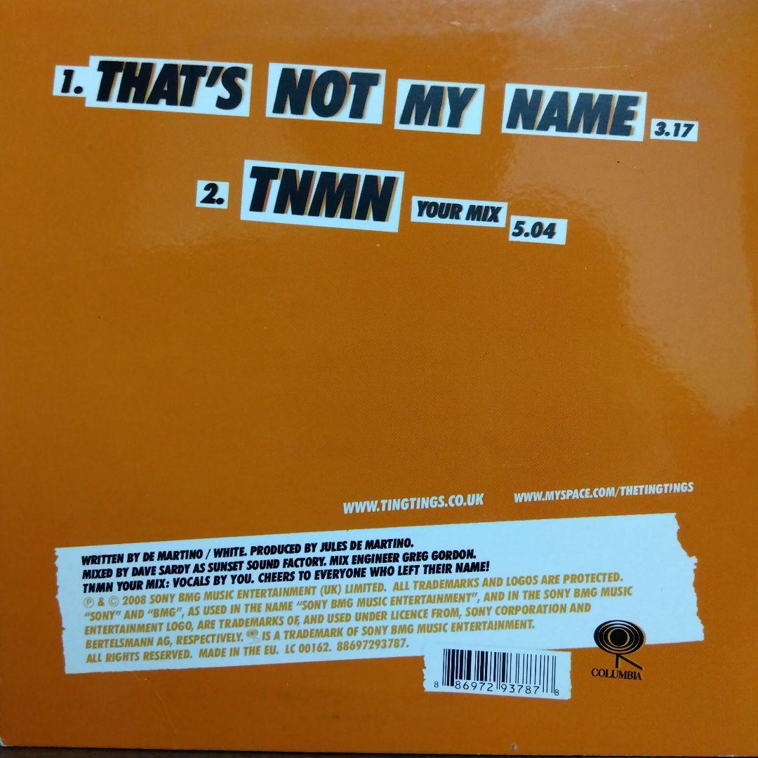 TING TINGS WE STARTED NOTHING LP•7”epセット