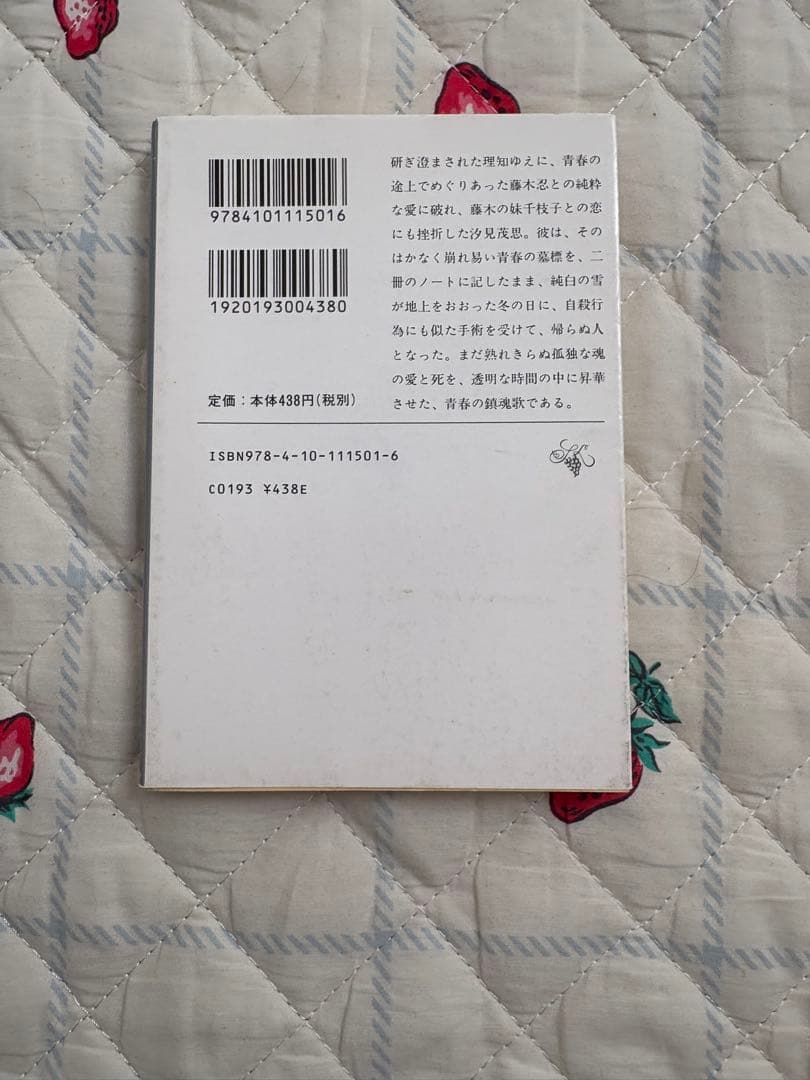 日本文学作品 文庫本 40冊