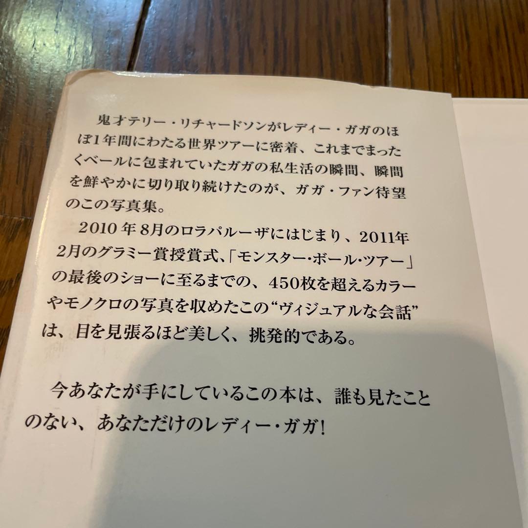 ◼︎レディー・ガガ×テリー・リチャードソン　写真集