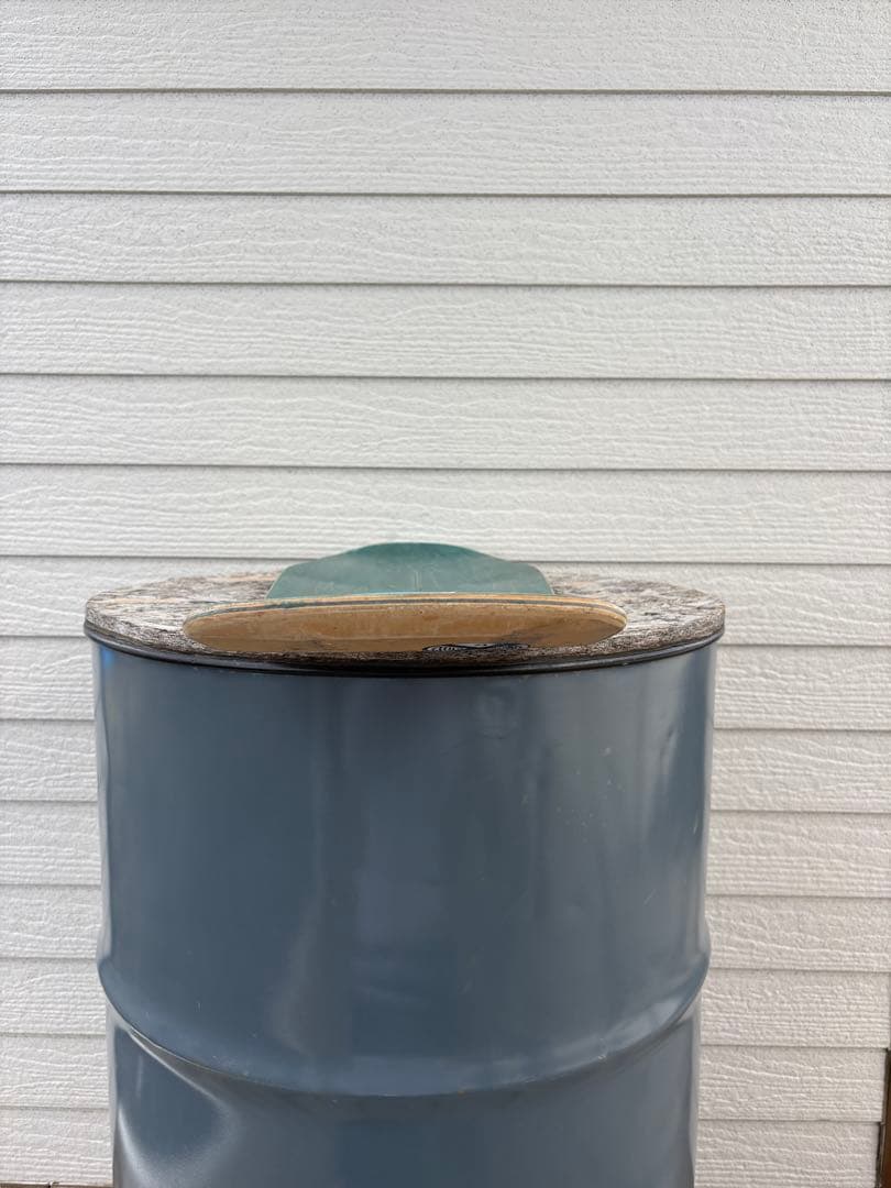 【Santa Cruz Mad Dog】スケートボードデッキ１０インチ