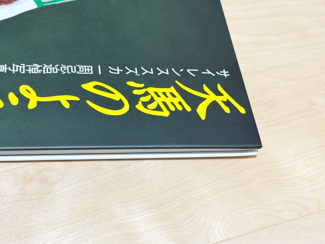 サイレンススズカ　天馬のように　一周忌追悼写真集