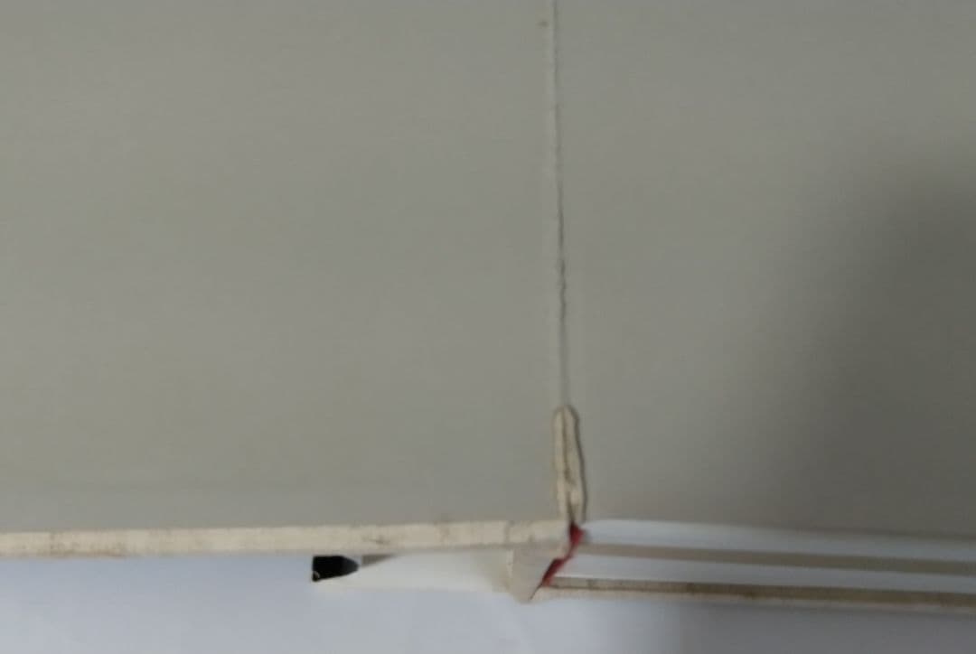 ジャン・ブルッセルマン Jean BRUSSELMANS 画集 全作品目録 洋書