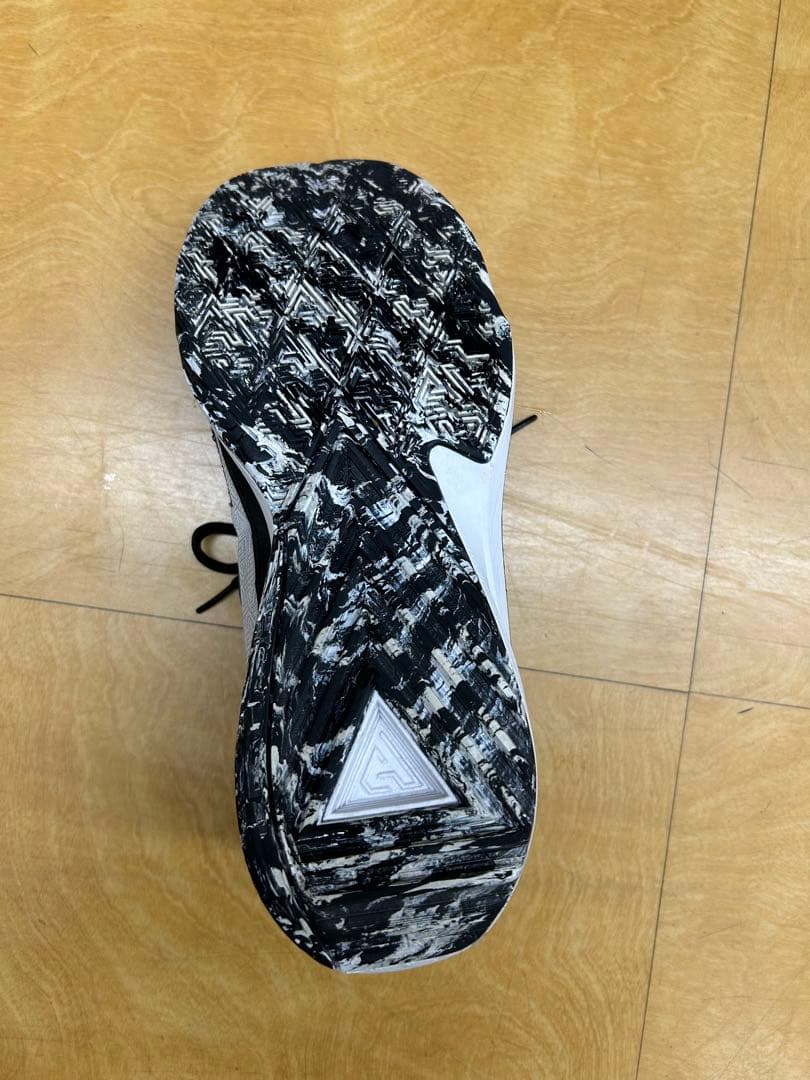 29センチ　ナイキ　ズーム　フリーク5 EP OREO DX4996 101