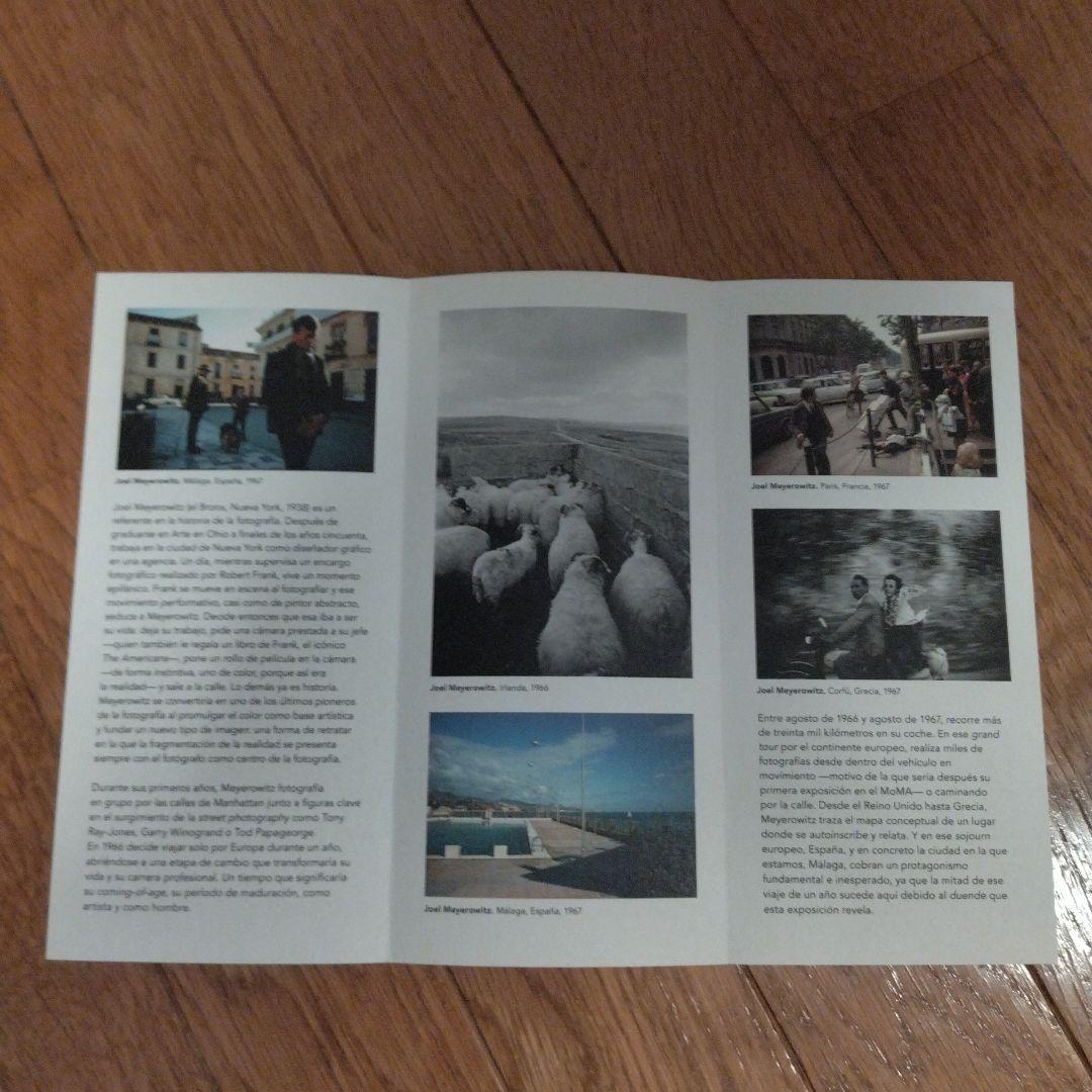 [レア] Joel Meyerowitz サイン EUROPA